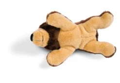 Nici 44052 MagNICI Grizzlybär Criz Lee Ca 12cm Plüsch Magnettier Forest Friends -Nici Plüschtiere Angebote Store 44052 03 ZA 2048x1427