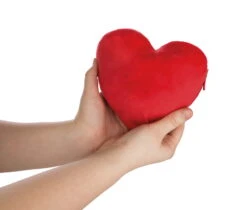 Nici 44427 Love Bär Schwester Rosa Wendeplüsch Bär In Herzkissen Ca 20cm -Nici Plüschtiere Angebote Store 44427 07 ZA Frei 2048x1741