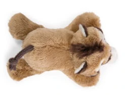 Nici 47956 MagNICI Nasenbär Coaty 12cm Magnetfigur Plüsch Wild Friends GREEN -Nici Plüschtiere Angebote Store 47956 02 ZA Frei 2048x1557