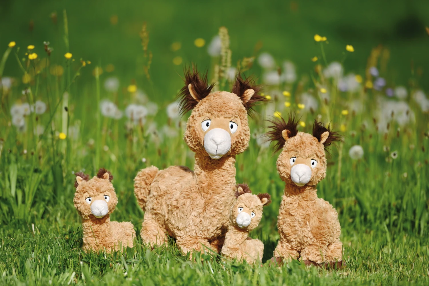 Nici 48604 Alpaka Al Paka 25cm Stehend Plüsch Kuscheltier GREEN 5 Nici 48604 Alpaka Al Paka 25cm Stehend Plüsch Kuscheltier GREEN – Bild 5