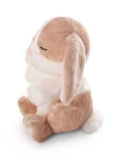Nici 48709 Sleeping Pets Bunnies Hase Cappuccino 12cm Schlafend Im Körbchen Grün -Nici Plüschtiere Angebote Store 48709 05 ZA Frei 1530x2048