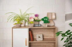 Nici 48943 Aloe Vera Pflanze Willibald 18cm Plüschfigur GREEN Funny Flowers -Nici Plüschtiere Angebote Store 48941 11 Milieu 48942 48943 48944 Milieu me