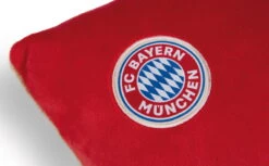 Nici 49080 Kissen FC BAYERN MÜNCHEN Bär Berni 43x25cm Plüsch FCB Dekokissen -Nici Plüschtiere Angebote Store 49080 04 ZA weiss 792x492